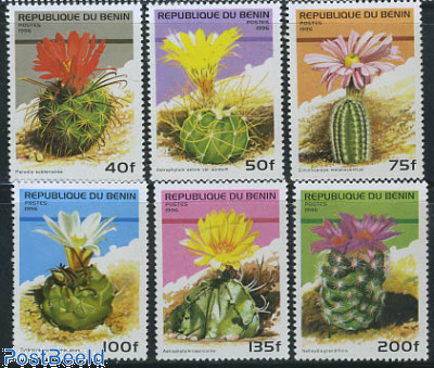 Cactus flowers 6v