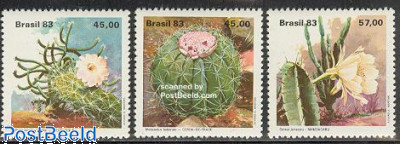 Cactus flowers 3v