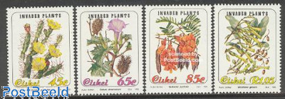 Flowers 4v