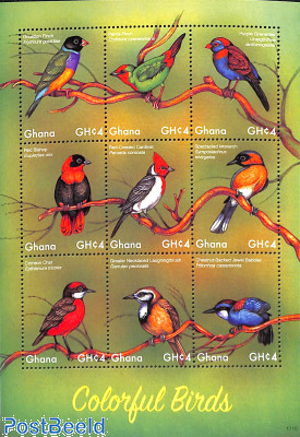 Colorful birds 9v m/s