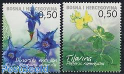 Flowers 2v