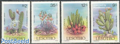 Cactus flowers 4v