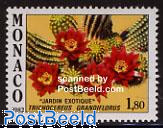 Exotic garden 1v