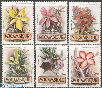 Flowers 6v