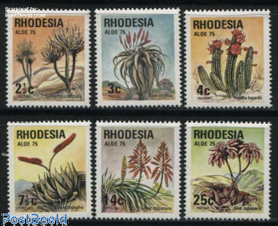 Desert flowers 6v