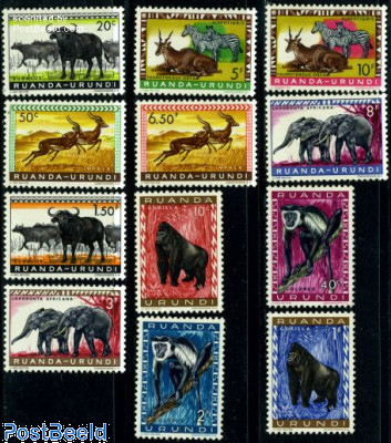 Animals 12v