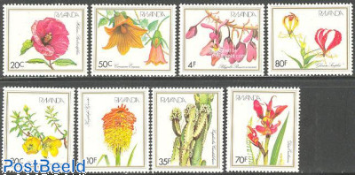 Flowers 8v