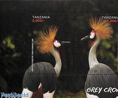 Grey Crowned Crane 2v m/s