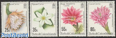 Cactus flowers 4v