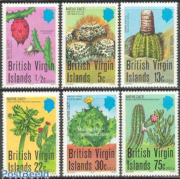 Cactus flowers 6v