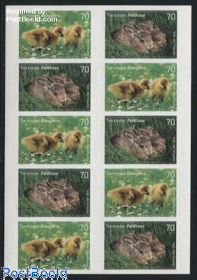 Baby Animals, Goose & Hare s-a booklet