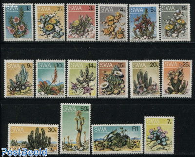 Cactus flowers 16v