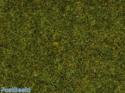 Scatter Grass ~ Meadow 2,5mm (100g)