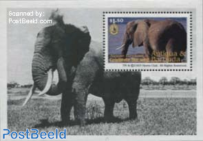 African elephant s/s