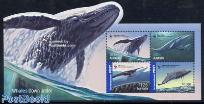 WWF, Whales 4v m/s