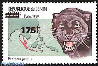 black panther, overprint