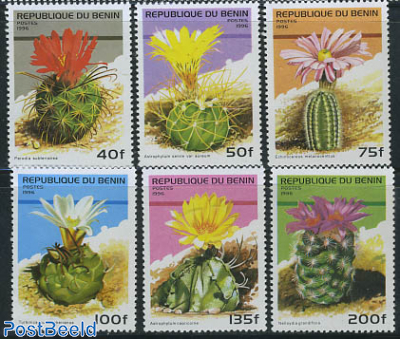 Cactus flowers 6v