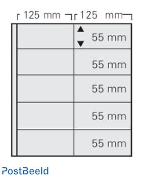 5 bladen Garant transparant 8x125x55mm