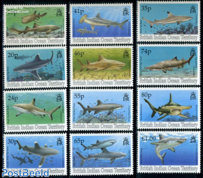 Definitives, sharks 12v