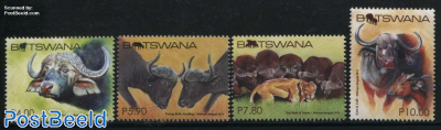 African Buffalo 4v