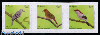 Birds 3v s-a