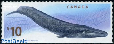 Definitive, Whale 1v