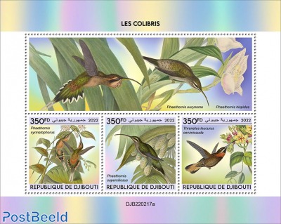 Hummingbirds (Phaethornis syrmatophorus; Phaethornis superciliosus; Threnetes leucurus cervinicauda)