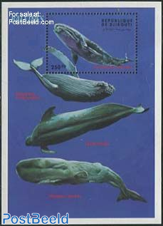 Sea mammals s/s, Eschrichtius robustus