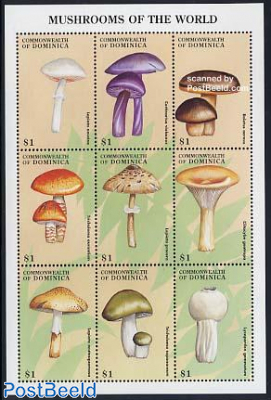 Mushrooms 9v m/s, Lepiota nacina