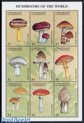 Mushrooms 9v m/s, Boletus ornatipes