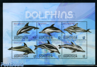 Dolphins 6v m/s