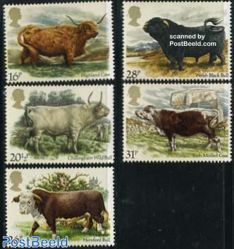 Cows and bulls 5v