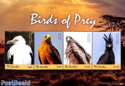 Birds of prey 4v m/s