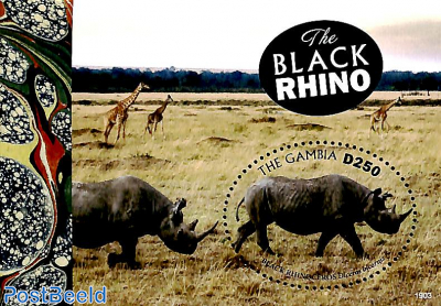 Black Rhino s/s