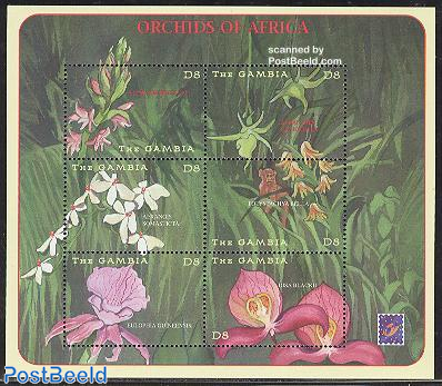 Belgica 01, Orchids 6v m/s