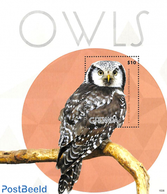 Northern Hawk Owl s/s