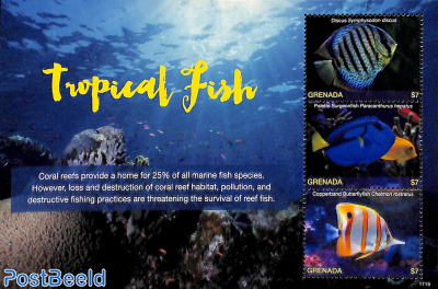 Tropical fish 3v m/s