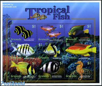 Tropical fish 9v m/s