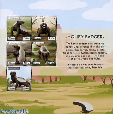 Honey Badger 5v m/s