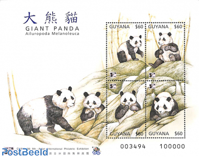 Giant Panda 4v m/s