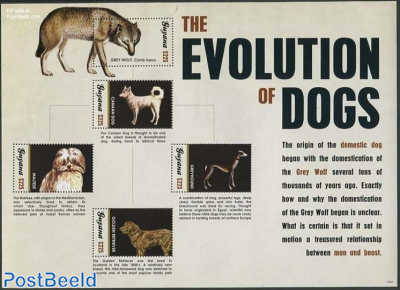 The Evolution of Dogs 5v m/s