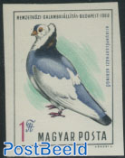 Pigeon exposition 1v imperforated