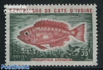 Fish (Priacanthus arenatus)
