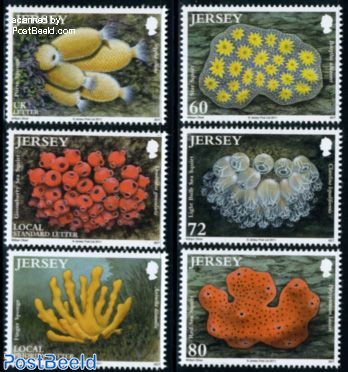 Marine life, Sea squirts and sponges 6v