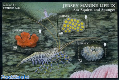 Marine life, Sea squirts and sponges s/s