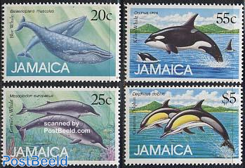 Whales and Dolphins 4V