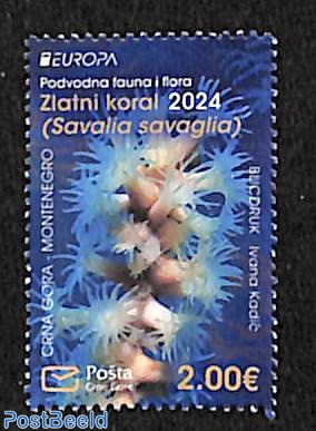 Europa, marine life 1v