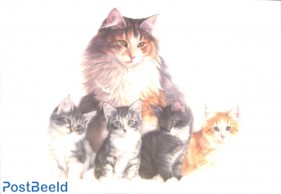 Francien van Westering, cat