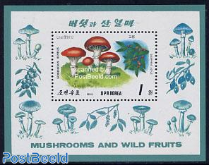 Mushrooms & berries s/s
