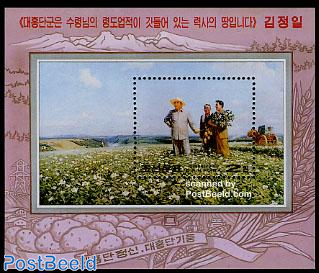 Agriculture in Taehongdan region s/s